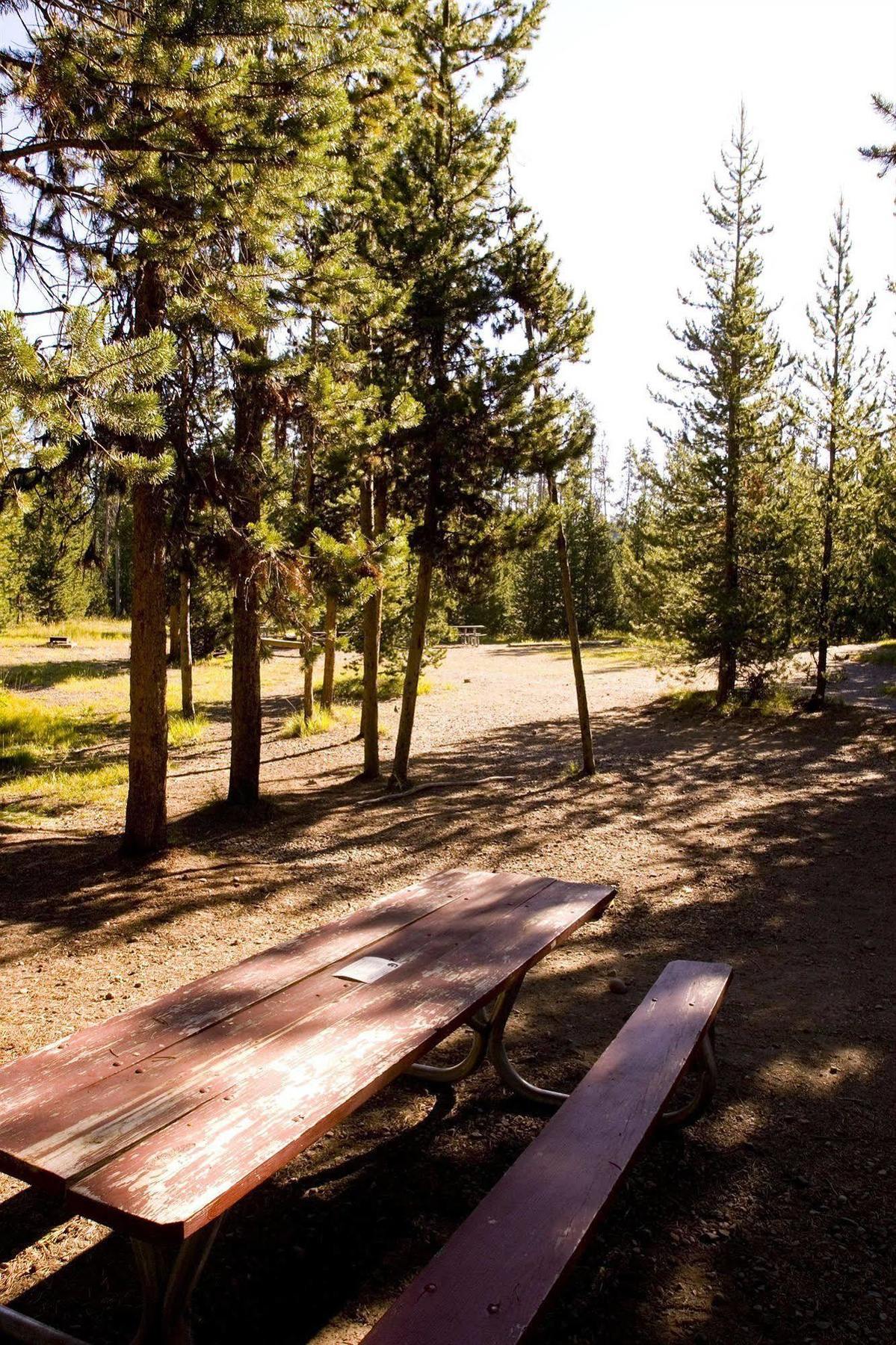 Headwaters Lodge & Cabins At Flagg Ranch Moran Bagian luar foto